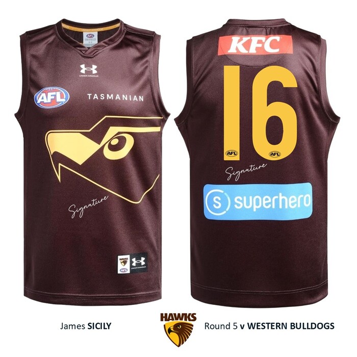 Photo of Massimo D'Ambrosio #16 Hawthorn 2026 Gather Round Guernsey