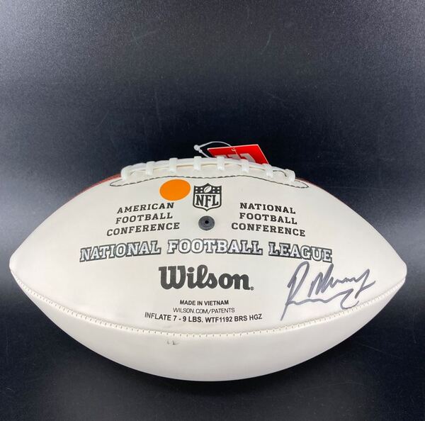 Titans - Roger McCreary Signed Panel Ball with Titans Logo (Not Authenti...