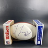 Dolphins - Laremy Tunsil Signed Panel Ball