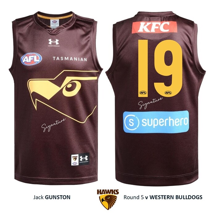 Photo of Jack Gunston #19 Hawthorn 2026 Gather Round Guernsey