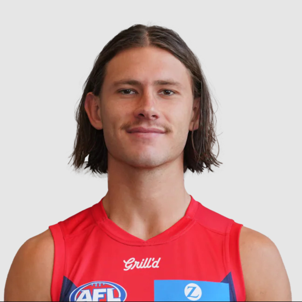 2025 Melbourne Demons Home Guernsey - Jai Culley #46