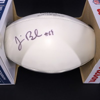 Dolphins - Jake Brendel Signed Panel Ball