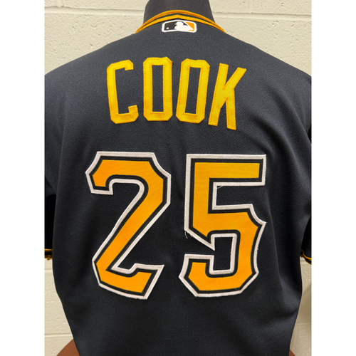Game-Used or Autographed Game Used | MLB Auctions