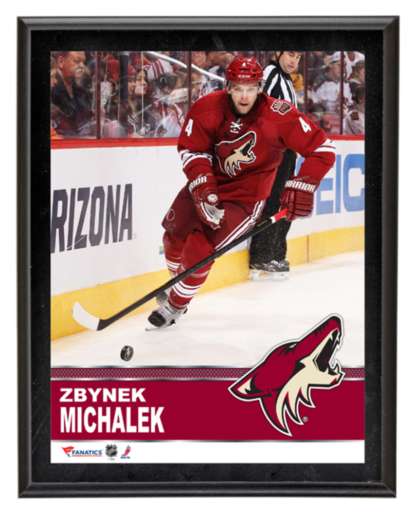 Zbynek Michalek Arizona Coyotes Sublimated 10