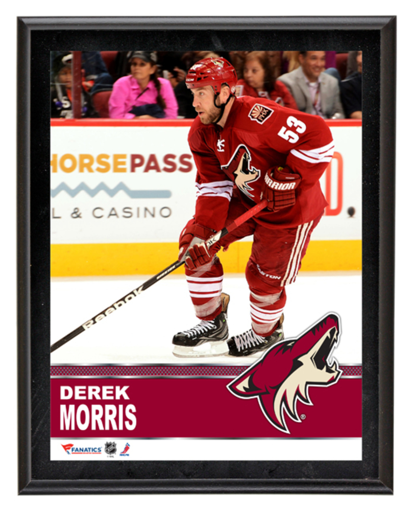 Derek Morris Arizona Coyotes Sublimated 10