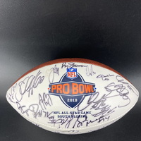 NFL - Multi Sign 2010 Pro Bowl Commemorative Panel Signed By Over 35 Pla...