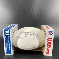 Dolphins - Jakeem Grant Signed Panel Ball