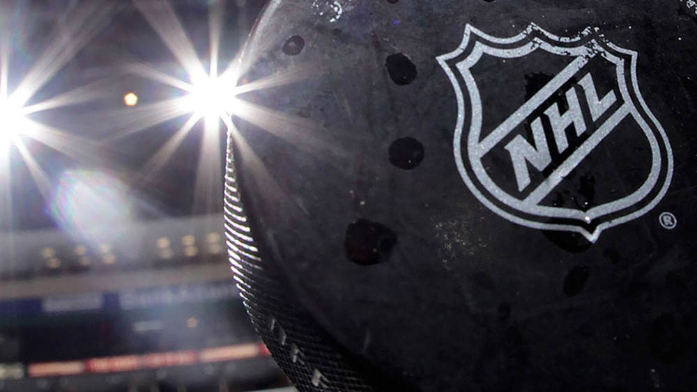 Ultimate NHL Experience for Four People