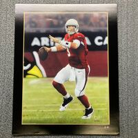 Auction - Carson Palmer Photo - 18x24
