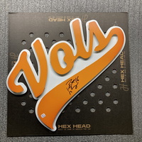 NFL - Tennessee Volunteers Peyton Manning Signed 3D Metal Wall Art (17x22)