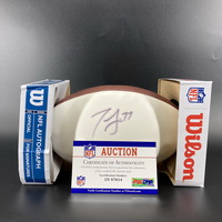 Dolphins - Jesse Davis Signed Panel Ball