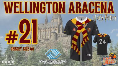 Harry Potter Night Jersey #21 Wellington Aracena