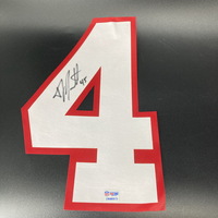 NFL - Falcons TJ Duckett Signed Jersey Number