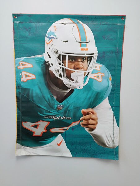 Dolphins - Madrid Games Banner (35x47) Chop Robinson