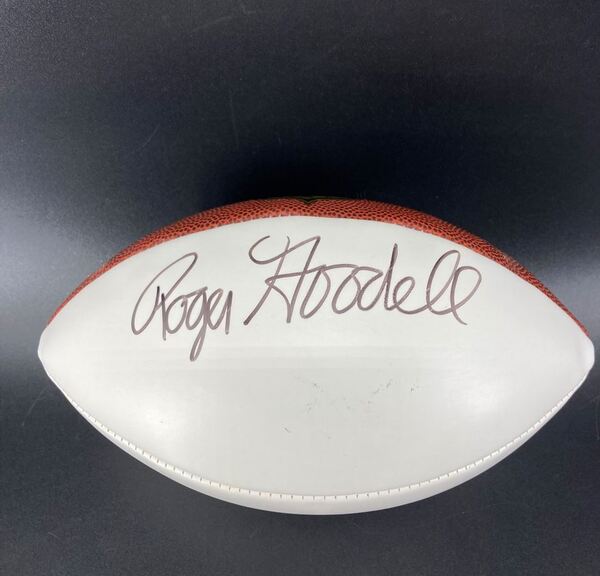 NFL - Commissioner Roger Goodell Signed Panel Ball