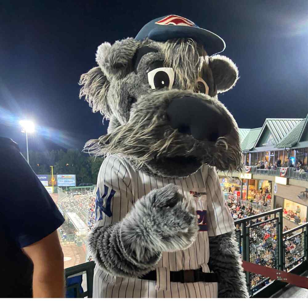 Somerset Patriots vs Akron RubberDucks