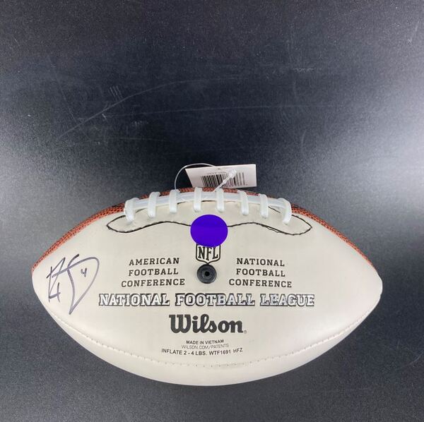 Titans - Ryan Stonehouse Signed Mini Panel Ball with Titans Logo (Not Au...