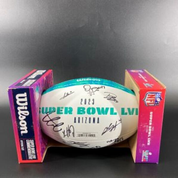 NFL - Multi-Signed Panel Ball With Over 15 Signatures Includng Pacheco, ...