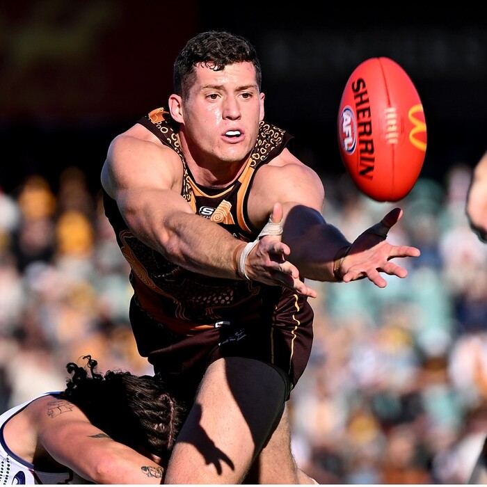 Lloyd Meek #17 Hawthorn 2024 Signed Brown Indigenous Match Worn Guernsey 