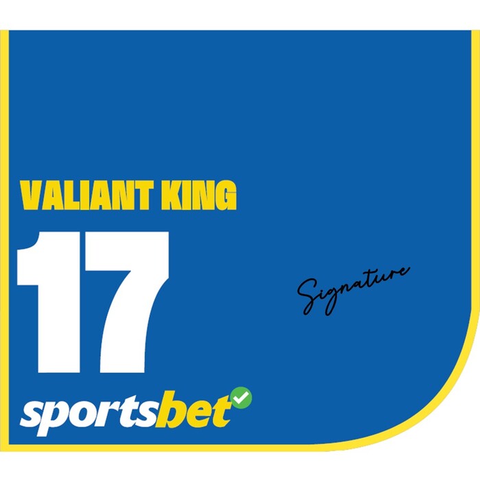 Photo of #17 Valiant King - Jye McNeil Signed Caulfield Cup Saddlecloth