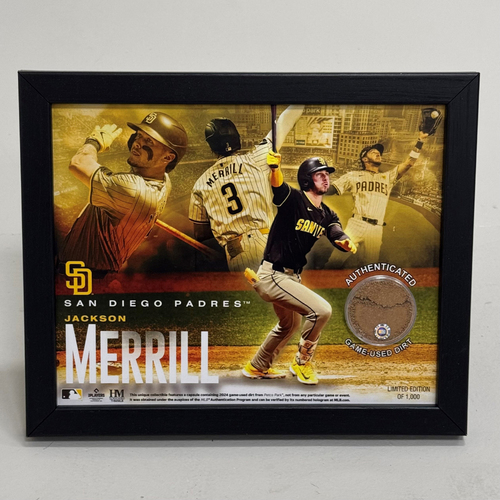 Game-Used or Autographed Game Used | San Diego Padres Auctions