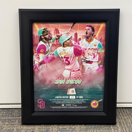 Game-Used or Autographed Game Used | San Diego Padres Auctions
