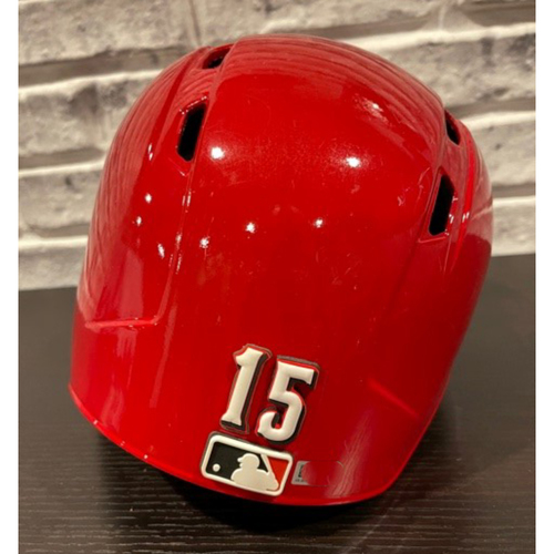 Team-Issued Helmet -- Left Ear Flap -- Size 7 1/4