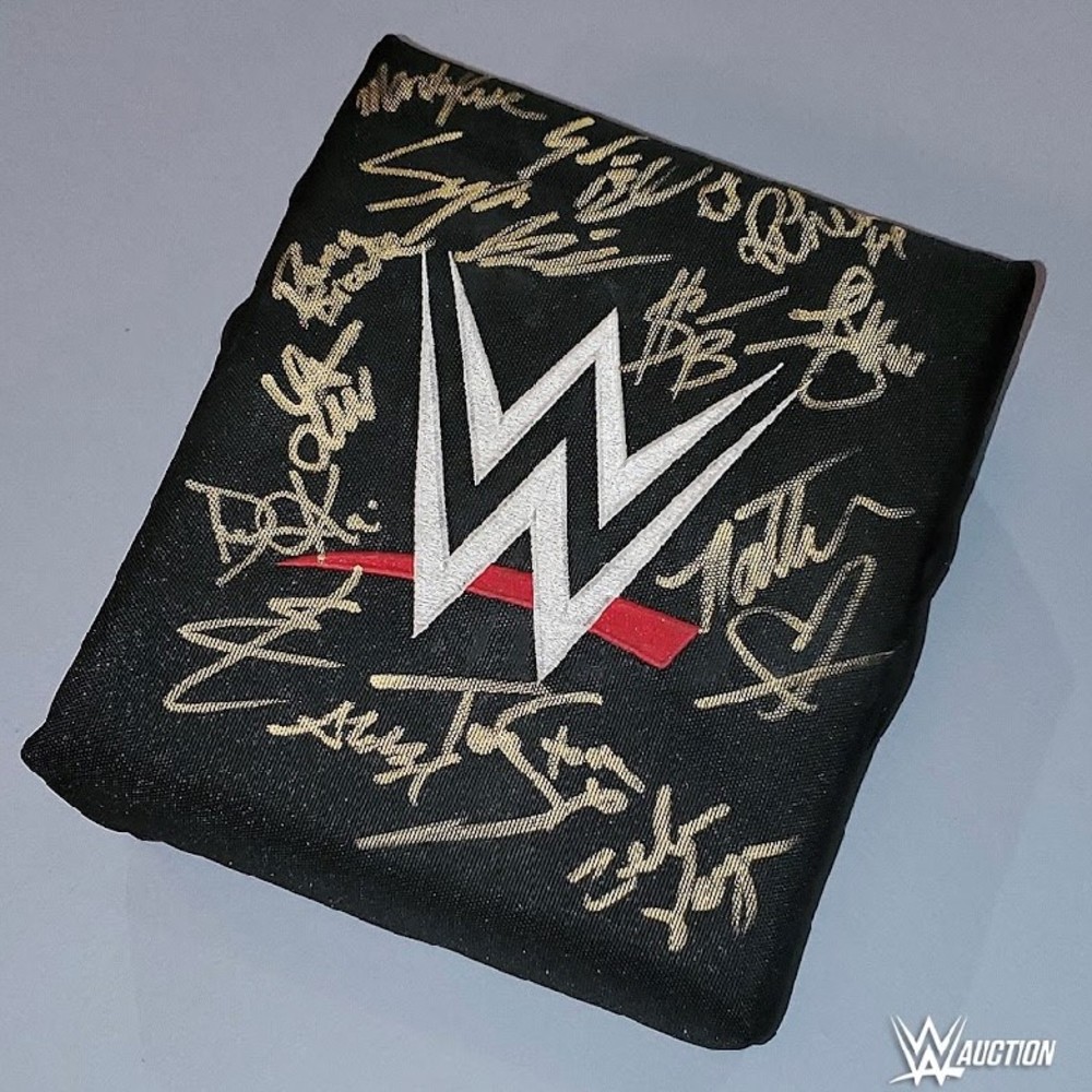 SIGNED and USED WWE Turnbuckle (WWE Evolution 10/28/2018) WWE Auction