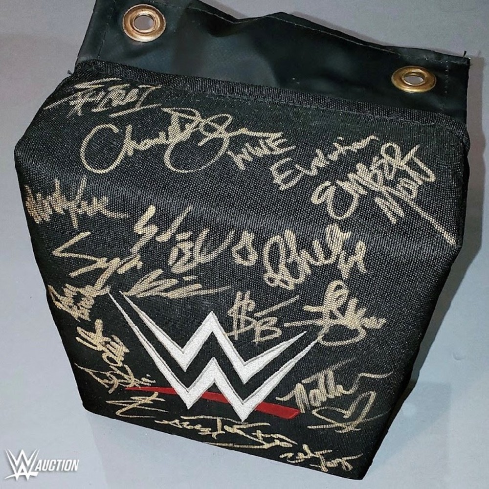 SIGNED and USED WWE Turnbuckle (WWE Evolution 10/28/2018) WWE Auction
