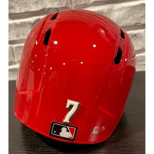 Team-Issued Helmet -- Left Ear Flap -- Size 7 3/8