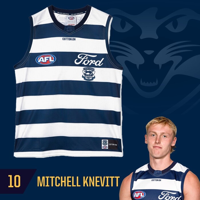 Photo of Mitchell Knevitt #10 Geelong Cats 2025 Grand Final Player-Issue Guernsey