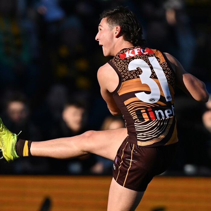 Connor Macdonald #31 Hawthorn 2024 Signed Brown Indigenous Match Worn Guernsey