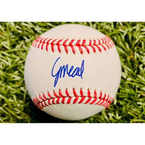 GameUsed or Autographed Curtis Mead Tampa Bay Rays Auctions