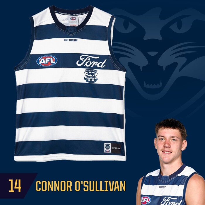 Photo of Connor O'Sullivan #14 Geelong Cats 2025 Grand Final Match-Worn Guernsey