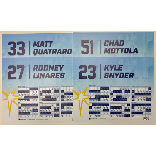 Game-Used or Autographed 2019 | MLB Auctions