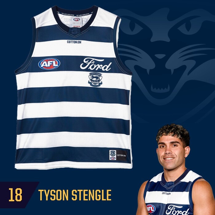 Photo of Tyson Stengle #18 Geelong Cats 2025 Grand Final Match-Worn Guernsey