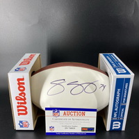 Dolphins - Sam Young Signed Panel Ball