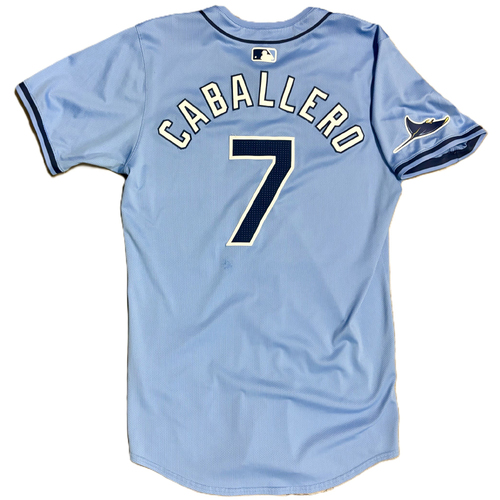 Game-Used or Autographed 2024 | MLB Auctions