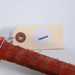 Thumbnail of the product