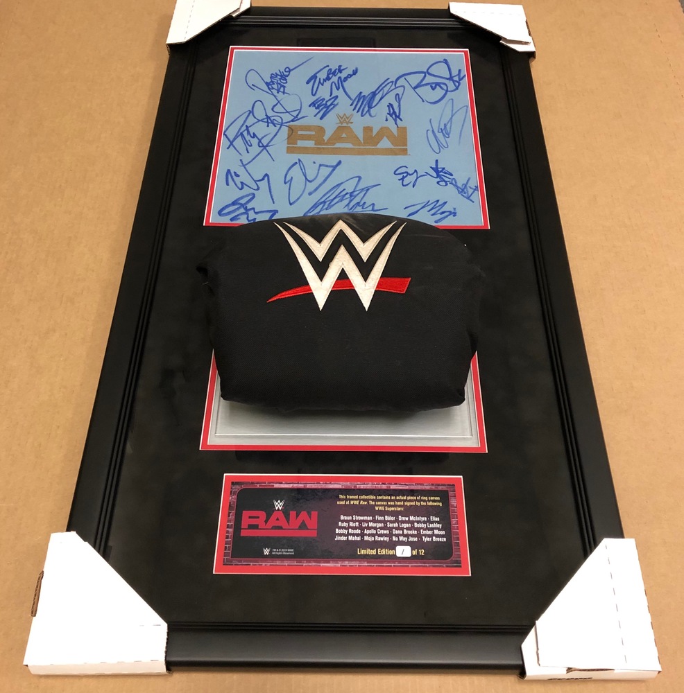 Raw 2019 SIGNED Ring Canvas and Turnbuckle Plaque (Multiple Superstars