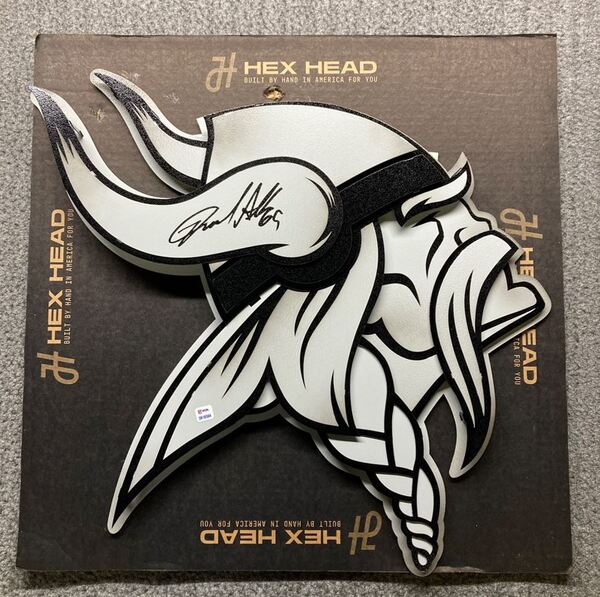 HOF - Vikings Jared Allen Signed 3D Metal Wall Art (22x22)