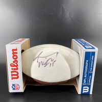 Dolphins - Albert Wilson Signed Panel Ball