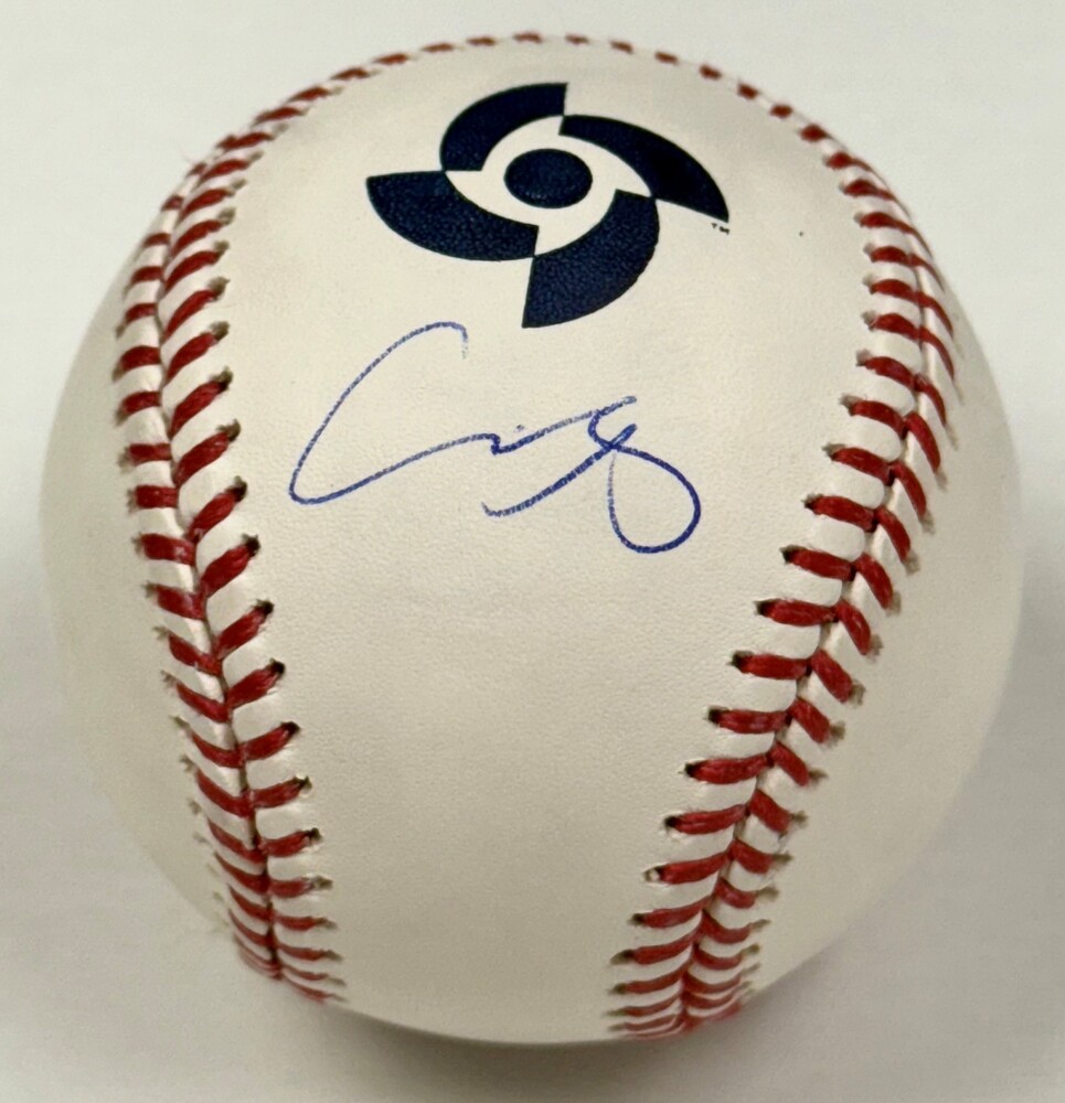 Shohei Ohtani Autographed 2023 WBC Logo Baseball | MLB Auctions