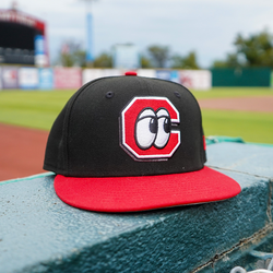 Illustration of the product