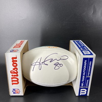 Dolphins - Anthony Fasano Signed Panel Ball With Dolphins Logo