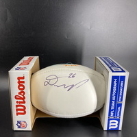 Dolphins - Damian Williams Signed Panel Ball With Dolphins Logo