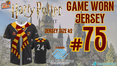 Harry Potter Night Jersey #75