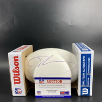 Dolphins - Josh Rosen Signed Panel Ball with Dolphins Logo