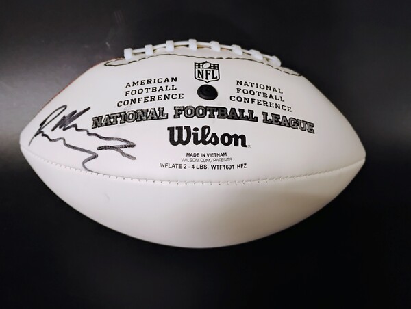 Titans - Roger McCreary Signed Mini Panel Ball with Titans Logo (Not Aut...