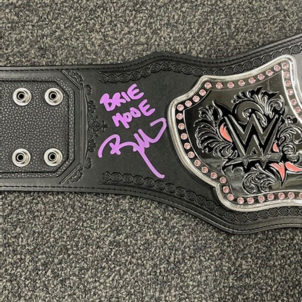 Nikki and Brie Bella SIGNED WWE Divas Championship Replica Title Belt ...